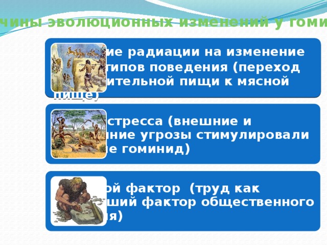 Причины эволюционных изменений у гоминид  Влияние радиации на изменение стереотипов поведения (переход от растительной пищи к мясной пище) Теория стресса (внешние и внутренние угрозы стимулировали развитие гоминид) Трудовой фактор (труд как важнейший фактор общественного развития) 