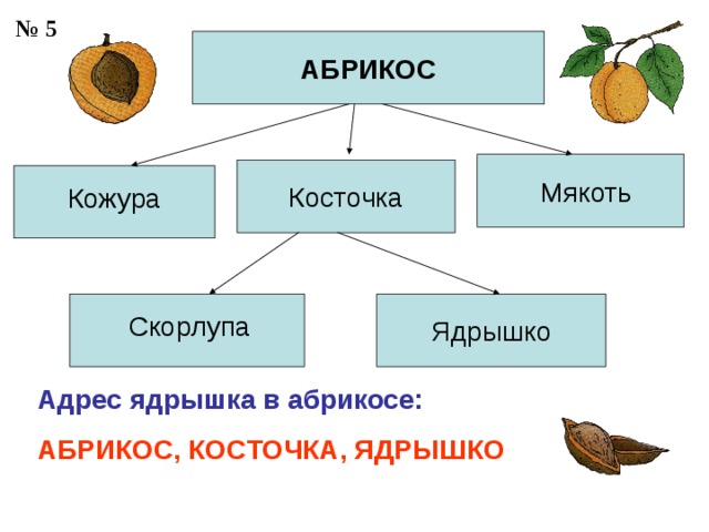 Объекта входит в состав объекта в