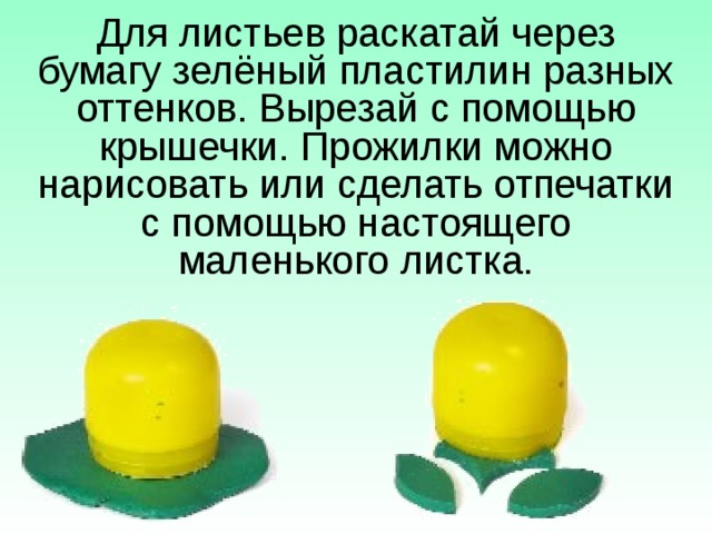 Для листьев раскатай через бумагу зелёный пластилин разных оттенков. Вырезай с помощью крышечки. Прожилки можно нарисовать или сделать отпечатки с помощью настоящего маленького листка. 