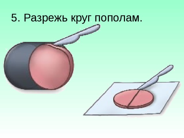5. Разрежь круг пополам. 