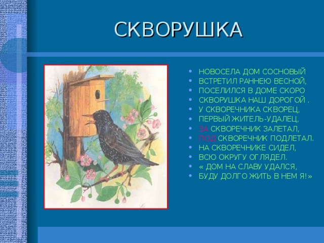 Текст про скворца. Скворушка Скребицкий. Стихотворение про скворца. Чтение про скворца. Скворец Скворушка скворечник.