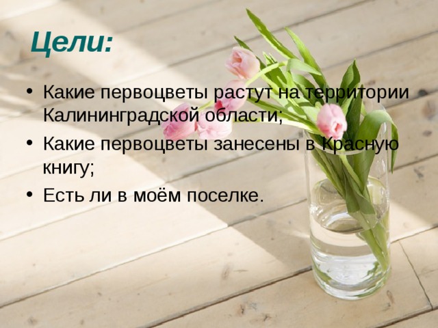Цели: Какие первоцветы растут на территории Калининградской области; Какие первоцветы занесены в Красную книгу; Есть ли в моём поселке. 