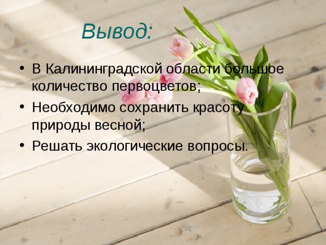 Вывод: В Калининградской области большое количество первоцветов; Необходимо сохранить красоту природы весной; Решать экологические вопросы. 