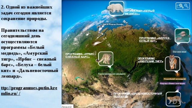 2. Одной из важнейших задач сегодня является сохранение природы.  Правительством на сегодняшний день осуществляются программы «Белый медведь», «Амурский тигр», «Ирбис – снежный барс», «Белуха – белый кит» и «Дальневосточный леопард».  ttp://programmes.putin.kremlin.ru/ / 