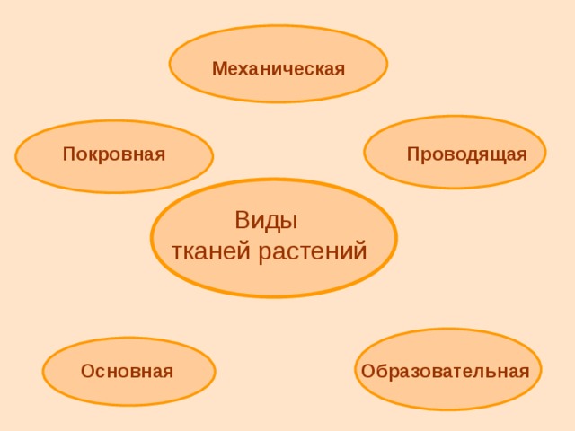 Презентация на тему: "Самостоятельная работа студента Тема: Закономерности возни