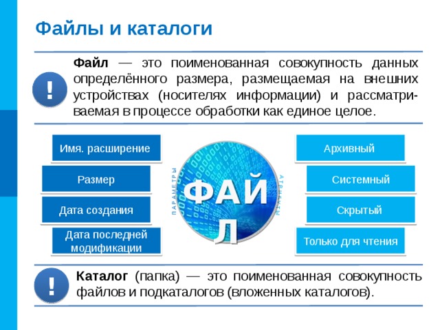 Определенная совокупность информации