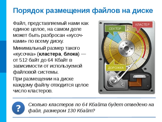 Рассмотрите рисунок сколько всего файлов хранится на диске е сколько