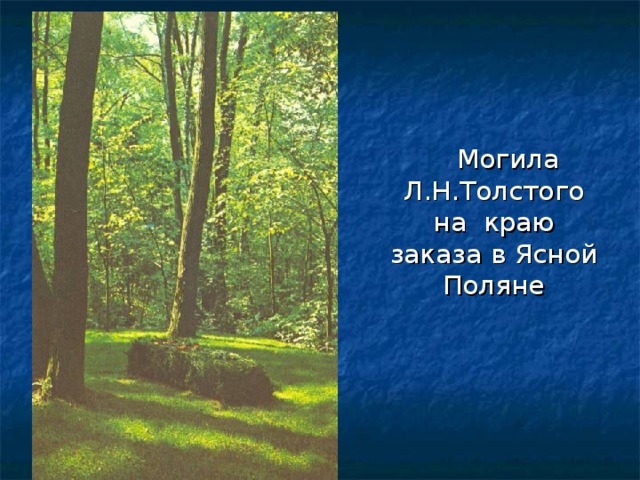  Могила Л.Н.Толстого на краю заказа в Ясной Поляне 
