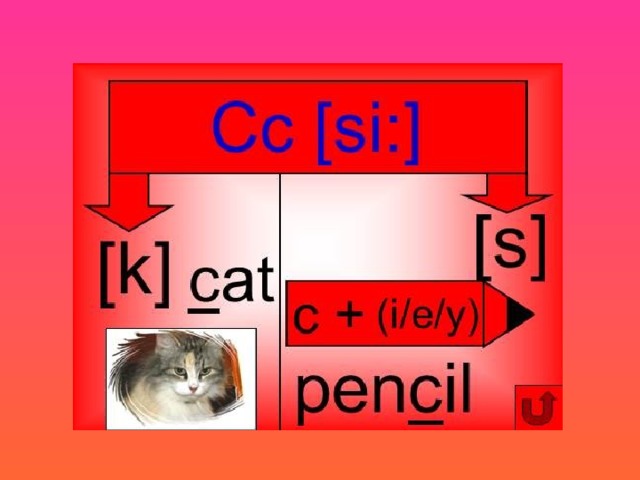 Rainbow презентация 3 класс unit 8 step 2