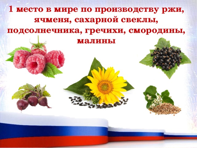 1 место в мире по производству ржи, ячменя, сахарной свеклы, подсолнечника, гречихи, смородины, малины 