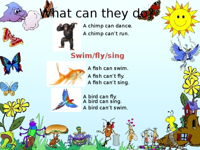 Fish can swim перевод на русский. What can animals do 2 Grade презентация. What can do animals 4 класс. A Bird can Fly на уроке английского языка. Презентация на тему can cant.