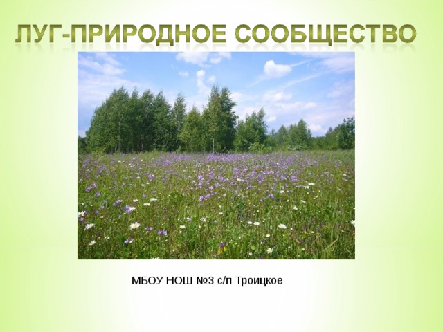 МБОУ НОШ №3 с/п Троицкое 