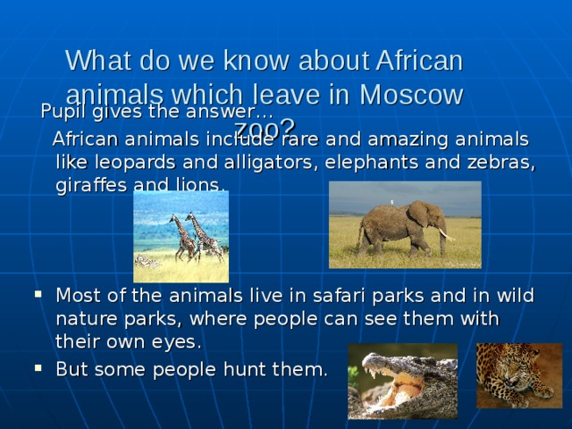 What do we know about African animals which leave in Moscow zoo ?  Pupil gives the answer…  African animals include rare and amazing animals like leopards and alligators, elephants and zebras, giraffes and lions. Most of the animals live in safari parks and in wild nature parks, where people can see them with their own eyes. But some people hunt them.  
