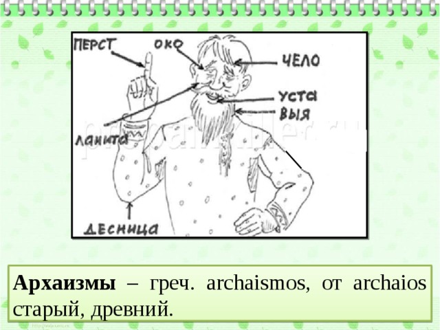 Архаизмы – греч. archaismos, от archaios старый, древний. 