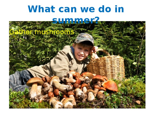 What can we do in summer? Gather mushrooms 