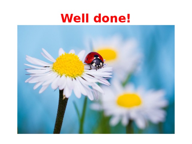 Well done! 