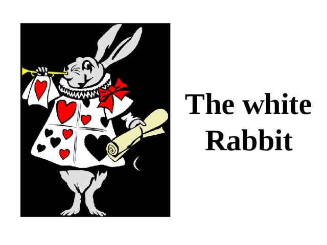 The white Rabbit 