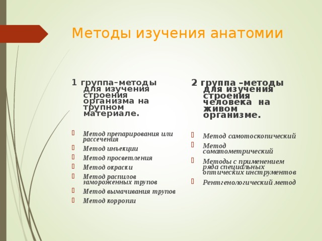 3 анатомических метода. Методы исследования в анатомии. Методы изучения анатомии человека. Методы исследования на трупном материале в анатомии. Человек предмет изучения анатомии и физиологии.