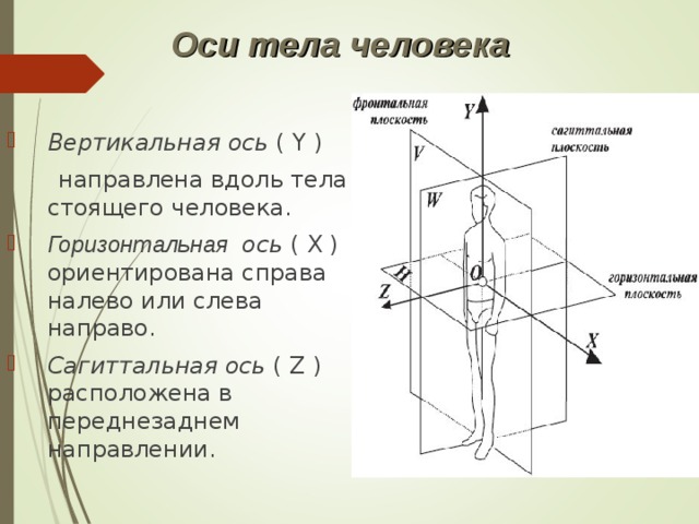 Центральная ось рисунок