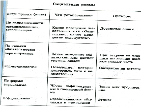 Нормы общество 7 класс