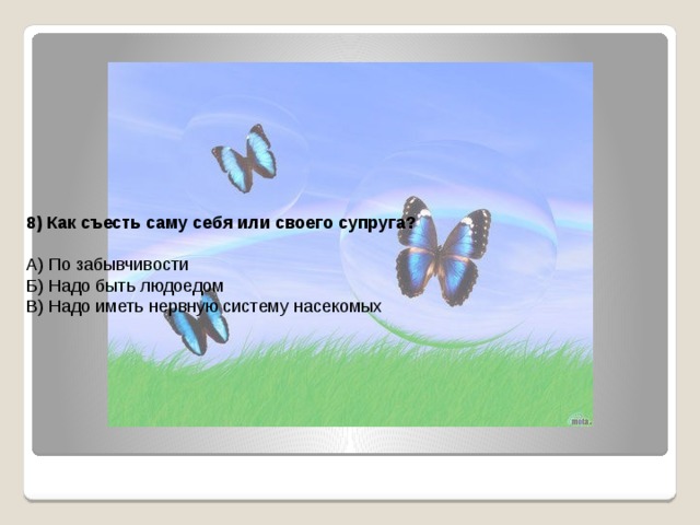 8) Как съесть саму себя или своего супруга?  А) По забывчивости Б) Надо быть людоедом В) Надо иметь нервную систему насекомых 