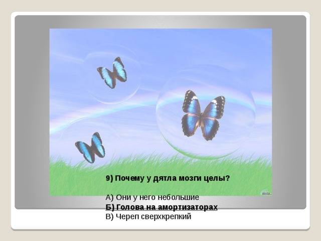 9) Почему у дятла мозги целы? А) Они у него небольшие Б) Голова на амортизаторах В) Череп сверхкрепкий 