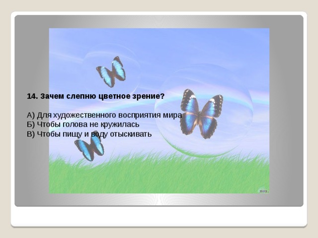 14. Зачем слепню цветное зрение? А) Для художественного восприятия мира Б) Чтобы голова не кружилась В) Чтобы пищу и воду отыскивать 