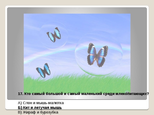 17. Кто самый большой и самый маленький среди млекопитающих?  А) Слон и мышь-малютка Б) Кит и летучая мышь В) Жираф и бурозубка 