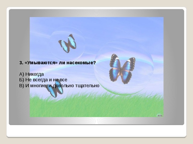 3. «Умываются» ли насекомые? А) Никогда Б) Не всегда и не все В) И многие, и довольно тщательно 