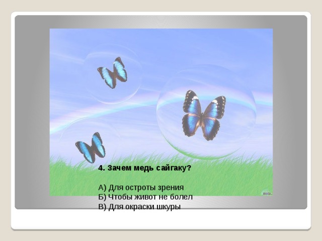4. Зачем медь сайгаку? А) Для остроты зрения Б) Чтобы живот не болел В) Для окраски шкуры 