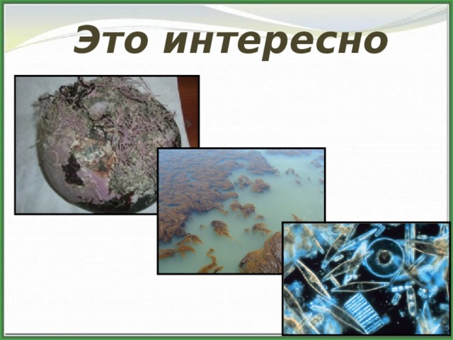 Это интересно 