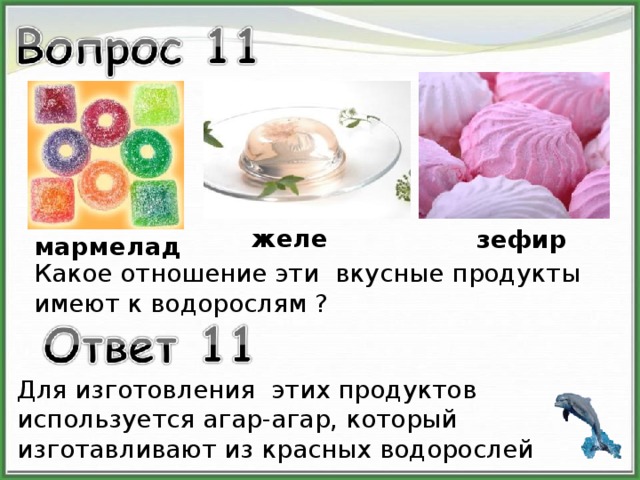 желе зефир мармелад Какое отношение эти вкусные продукты имеют к водорослям ? Для изготовления этих продуктов используется агар-агар, который изготавливают из красных водорослей 