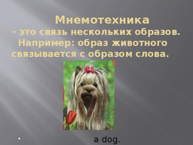  Мнемотехника  – это связь нескольких образов.  Например: образ животного связывается с образом слова.  a dog. 