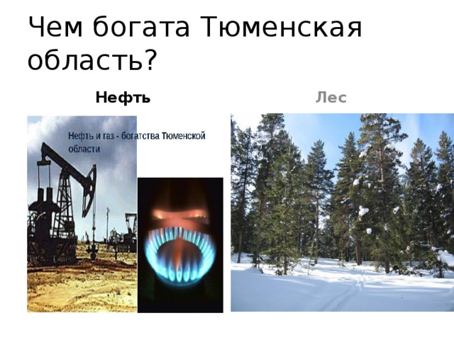 Нефть лес