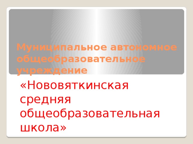 Муниципальное автономное общеобразовательное учреждение «Нововяткинская средняя общеобразовательная школа»