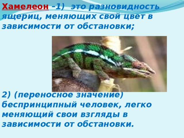 Хамелеон  –1) это разновидность ящериц, меняющих свой цвет в зависимости от обстановки;      2) (переносное значение) беспринципный человек, легко меняющий свои взгляды в зависимости от обстановки. 