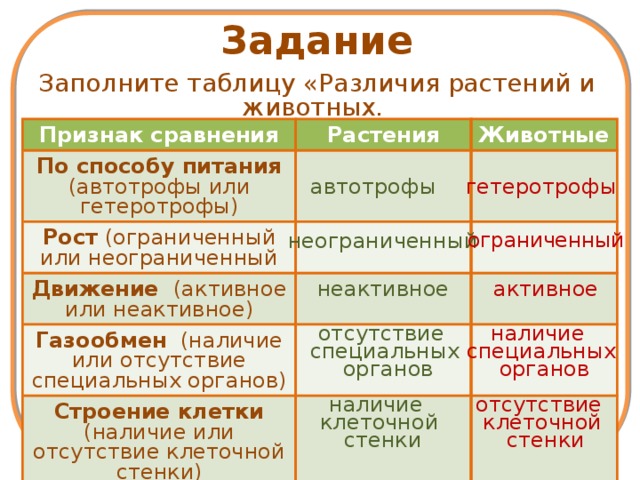 Признак питания. Сравнительная характеристика растений и животных таблица 6 класс. Характеристика животных и растений.