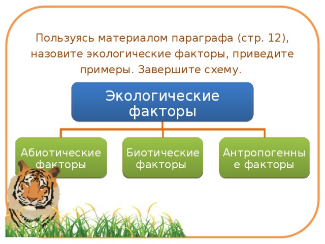 Составьте схему экологические факторы