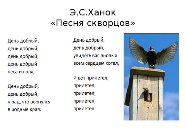 Песня добрый день. Песенка день добрый день добрый леса и поля. Песня скворца. Песня Скворцов. Скворцы Ноты.