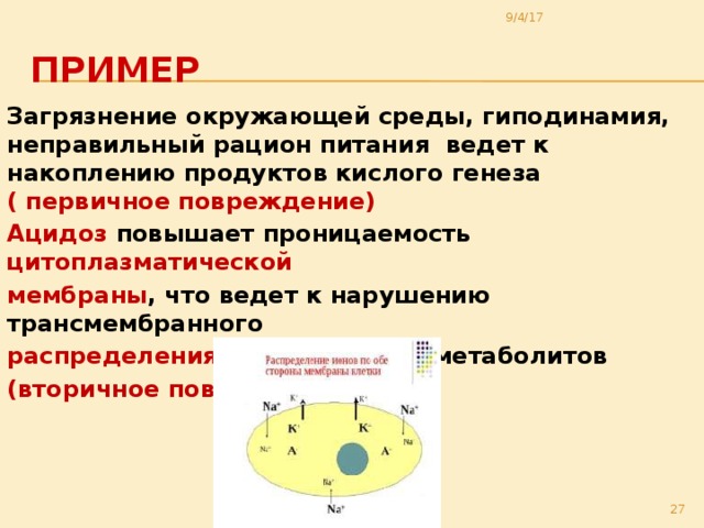9/4/17 Пример Загрязнение окружающей среды, гиподинамия, неправильный рацион питания ведет к накоплению продуктов кислого генеза ( первичное повреждение) Ацидоз повышает проницаемость цитоплазматической мембраны , что ведет к нарушению трансмембранного распределения ионов , выходу метаболитов (вторичное повреждение).  