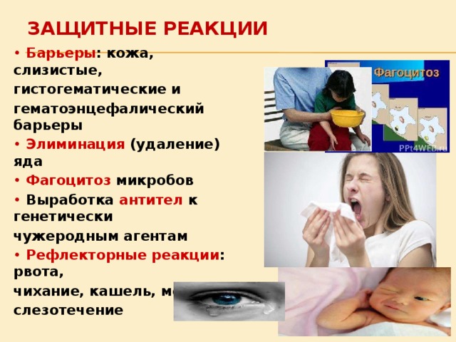 Реакция на презентацию