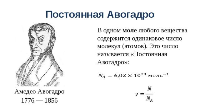 Если бы ученики захотели выяснить одинаковое ли количество перегноя содержится в образцах