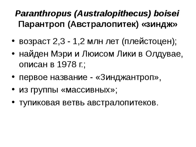 Paranthropus ( Australopithecus ) boisei Парантроп (Австралопитек) «зиндж» возраст 2,3 - 1,2 млн лет (плейстоцен); найден Мэри и Люисом Лики в Олдувае, описан в 1978 г.; первое название - «Зинджантроп», из группы «массивных»; тупиковая ветвь австралопитеков.