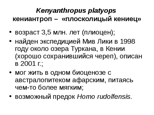 Kenyanthropus platyops кениантроп – «плосколицый кениец» возраст 3,5 млн. лет (плиоцен); найден экспедицией Мив Лики в 1998 году около озера Туркана, в Кении (хорошо сохранившийся череп), описан в 2001 г.; мог жить в одном биоценозе с австралопитеком афарским, питаясь чем-то более мягким; возможный предок H omo rudolfensis .