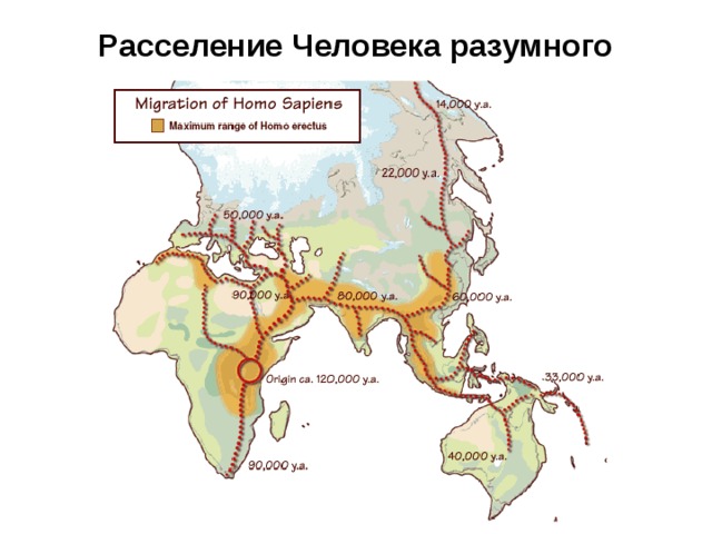 Расселение Человека разумного