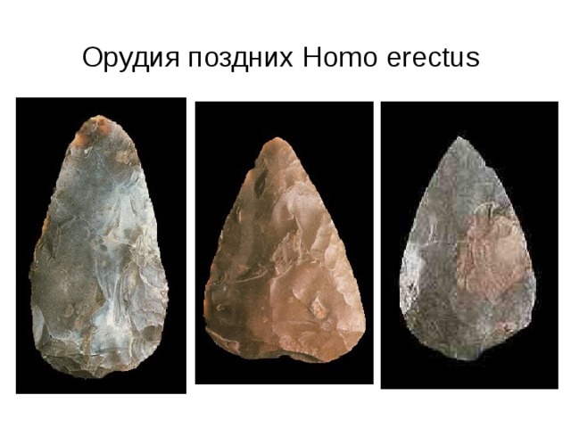 Орудия поздних Homo erectus