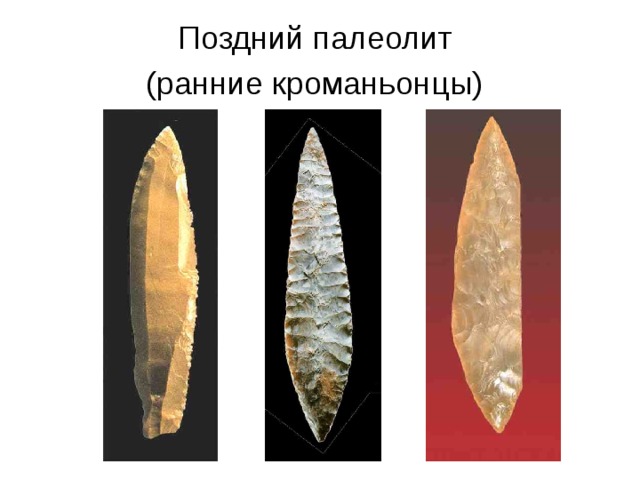 Поздний палеолит (ранние кроманьонцы)