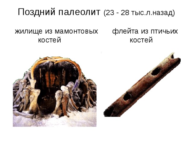 Поздний палеолит (23 - 28 тыс.л.назад) жилище из мамонтовых флейта из птичьих костей костей