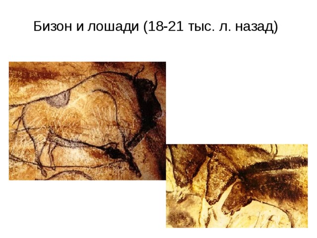 Бизон и лошади (18-21 тыс. л. назад)