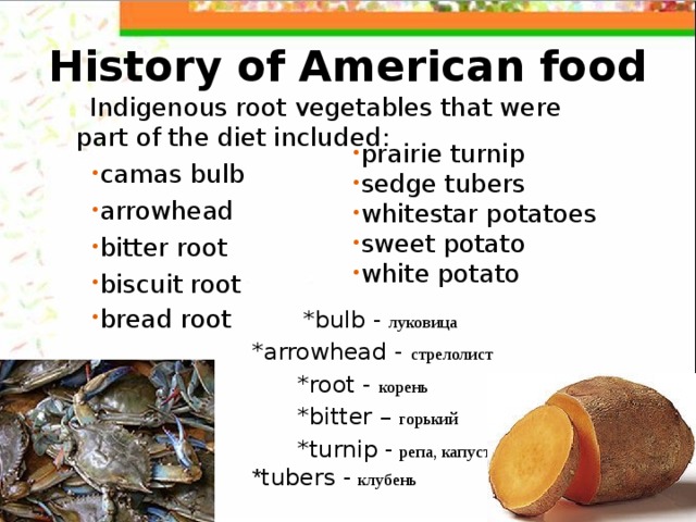 History of American food Indigenous root vegetables that were part of the diet included : camas bulb arrowhead bitter  root biscuit root bread  root * bulb -  луковица  *arrowhead - стрелолист  *root - корень  * b itter – горький  *turnip  -  репа, капуста  * tubers -  клубень prairie turnip sedge tubers whitestar potatoes sweet potato white potato 